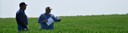 field.jpg