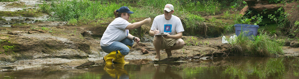 water_quality.jpg